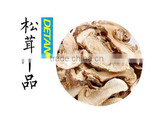 Highest Grade Dried Matsutake Organic Mushroom
