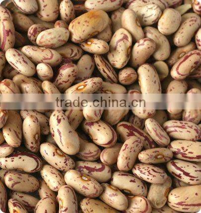 bean color sorting machine/bean color sorter machine/speckled bean,kidney bean color sorter