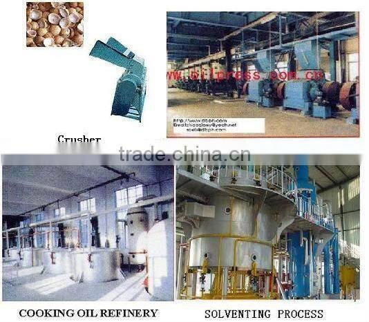 Coconut Oil Equipment