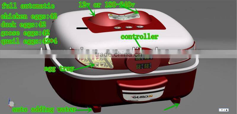 WQ-42 quail egg incubator
