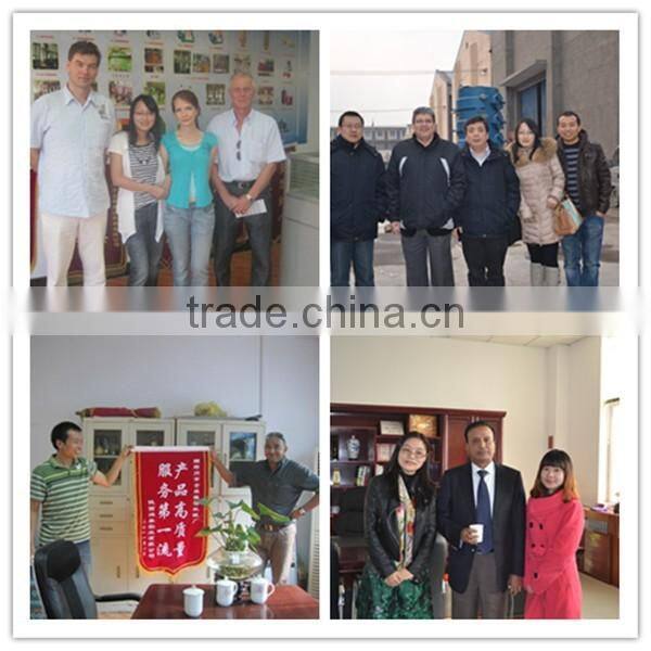 50TPD automatic edible oil extracting machine