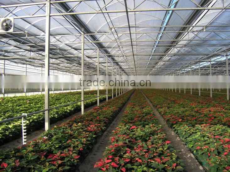 Galvanized steel tube film tunnel single span greenhouse