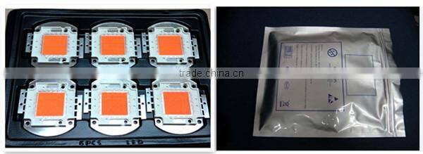 High power led datasheet with bridgelux chip100w, bridgelux led chip 100w, led grow chip