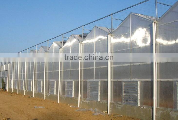 Warm in winter and cool in summer ecological greenhouse