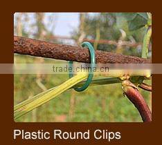 Garden And Vineyard Use PE PVC Binding Tape