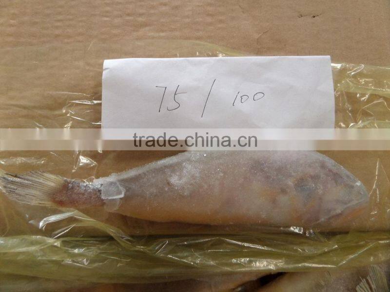 Frozen Yellow Croaker 40-100