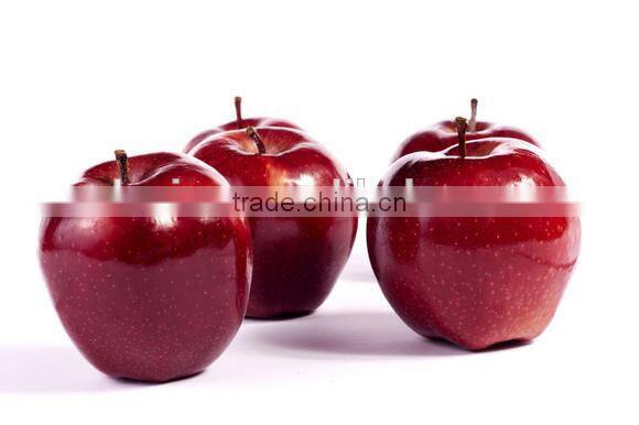 Hot selling cheap price easy cutter Apple cutter