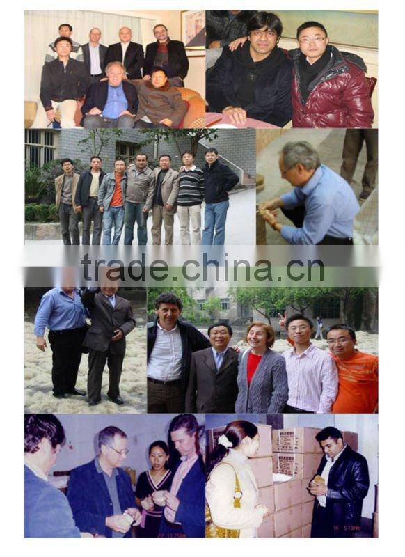 Bleached White Pig Hair Bristles for artist brush Bristle Making