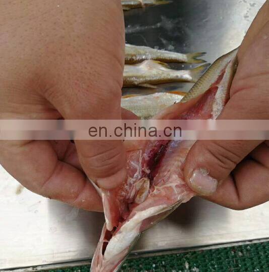 Fish Gutter Machine Fish Scale Skin Viscera Removal Machine