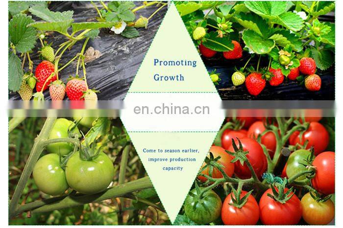 Relight Full spectrum led strip grow lights for vegetable cultavation and greens growth