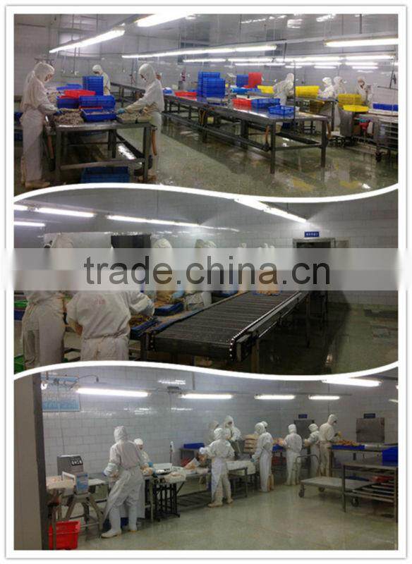 frozen squid tubes (LQF squid)fresh