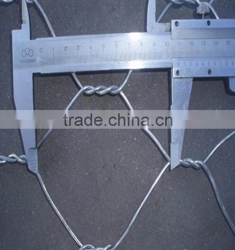 Alibaba gold supplier galvanized chicken coop hexagonal wire mesh(ISO and SGS)