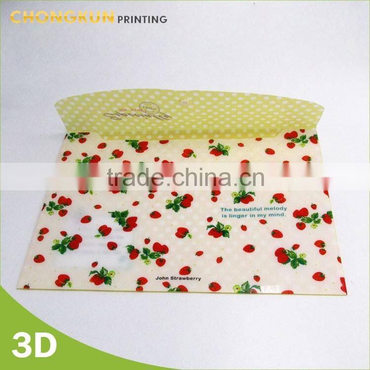 stylish pocket file folder holder