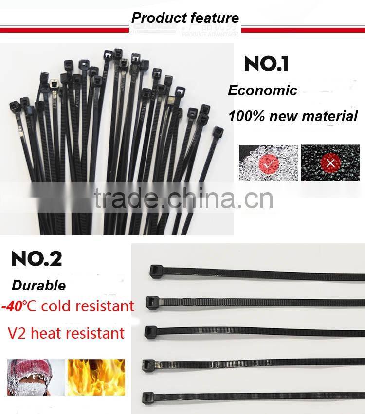 4'' 6'' 8'' 10'' Length Nylon66 Plastic Cable Tie Size