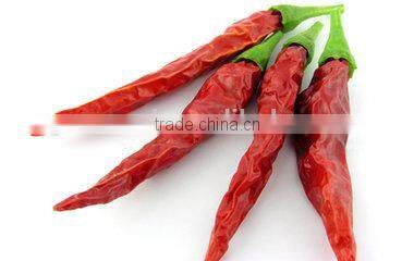 Dehydrated Crushed Chilli dehydrated vegetables