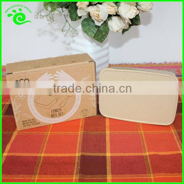 ~ China Manufacture Plastic Bento Lunch Box