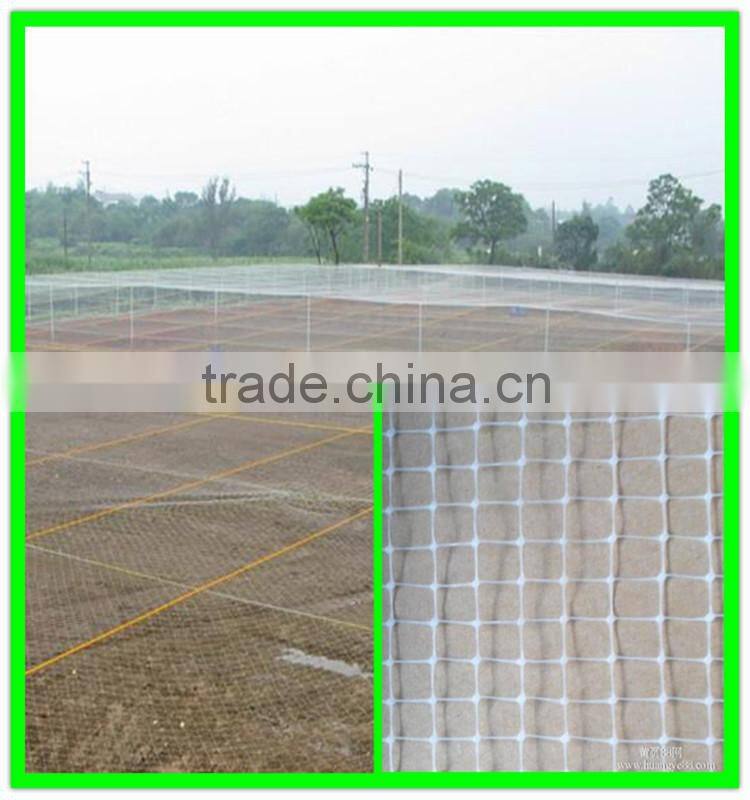 supply high quality flower protection anti bird netting&pond covering mesh