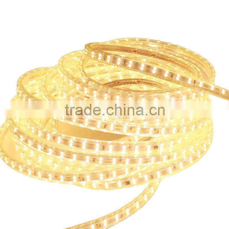 HUGEWIN double golden lines 3528 strips 120leds per meter smd strip lights 3528 220v