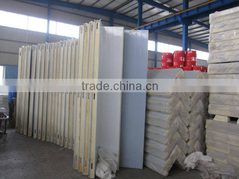 20ft/40ft refrigerated container,10ft cold room container