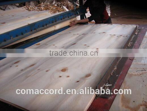 cheap price of rotary cut radiata pine veneer for plywood use 1270x2540mm natural wood veneer