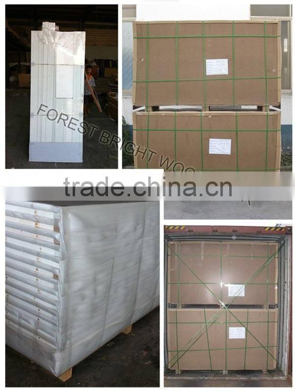 Finished White Painted Interior Closet Bifold Doors