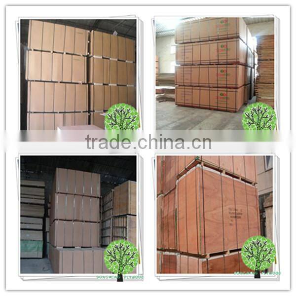 18mm Waterproof Plywood Sheet