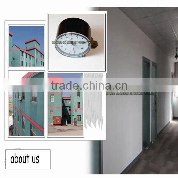 High quality 2.5inch bottom mount brass casing with outside brass bayonet pressure gauge