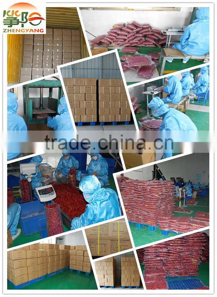 china manufacturer supply new crop red hot pepper dry chilli hot seasoning