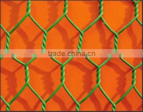 Anping Galvanized Chicken Mesh(Hot-dipped/Electro Galvanized)