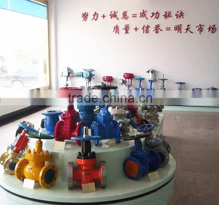 Standard Valves, BS1868 Cast Steel Swing Type Check Valve DN200