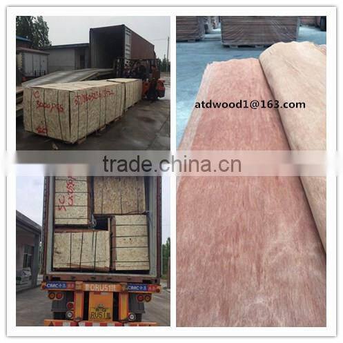 natural gurjan veneer
