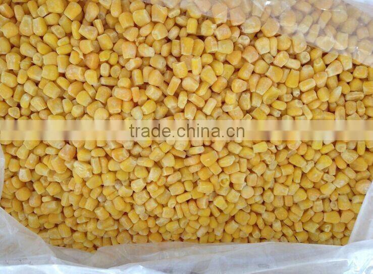 IQF frozen chinese yellow corn sweet corn on cob