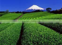 Made in Japan Powdered green tea.