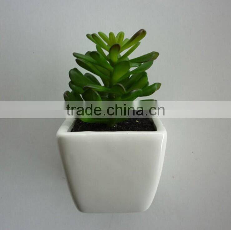 Mini artificial cactus with pot for indoor decoration