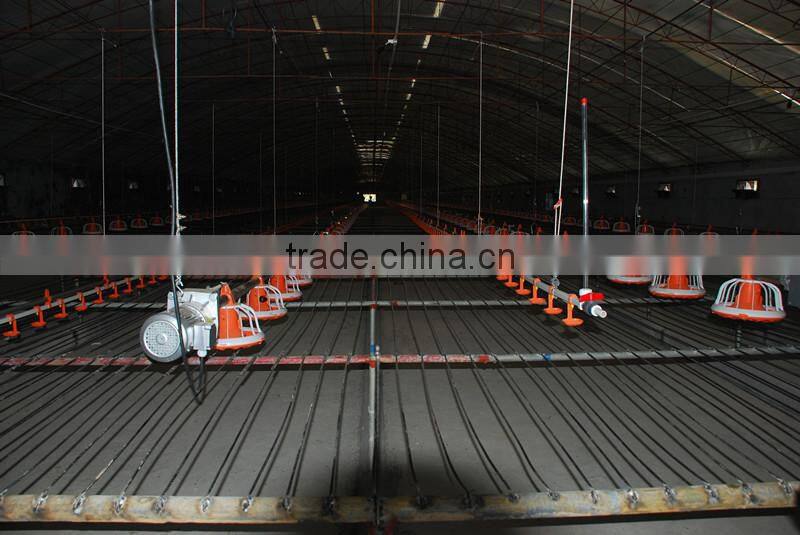 Automatic poultry broiler pan feeding system