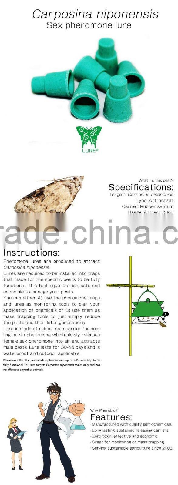 Pheromone Lure for Carposina niponensis (Peach Fruit Moth), Pheromone Attractant
