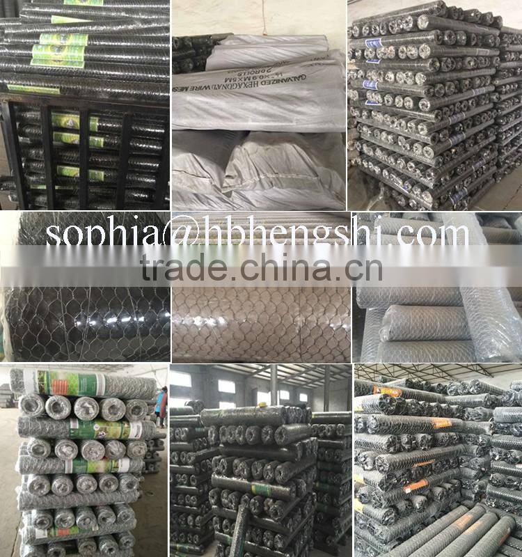 PVC coated Chicken Wire Mesh (Hexagonal Wire Netting)