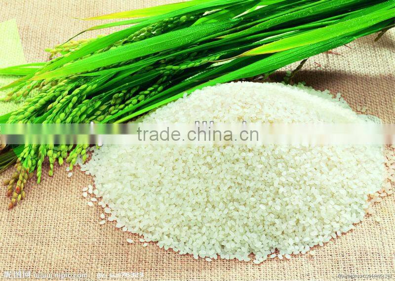 hot sale SB-30/50 rice mill machine with big capacity