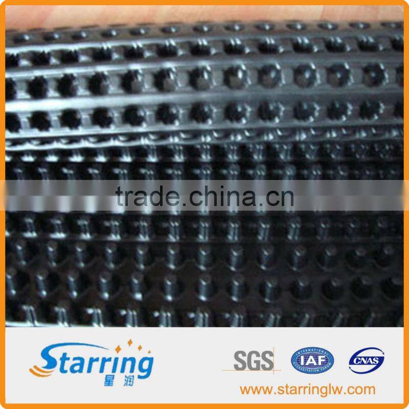 Green roof Drainage Board/HDPE Drainage Sheet