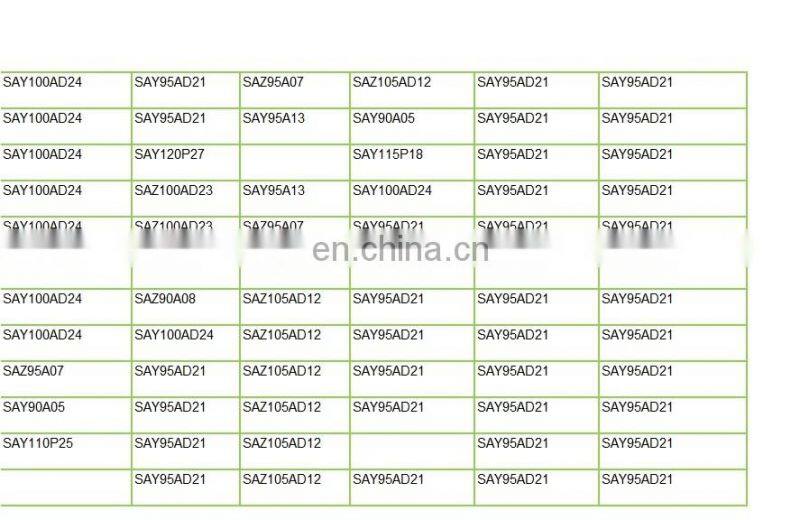 Plunger Barrel Element SAZ85BQ09 BQ85