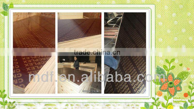 2014 high quality shandong film faced plywood manufacturer