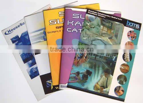 Combination of words and pictures video brochure, vivid and easy to understand