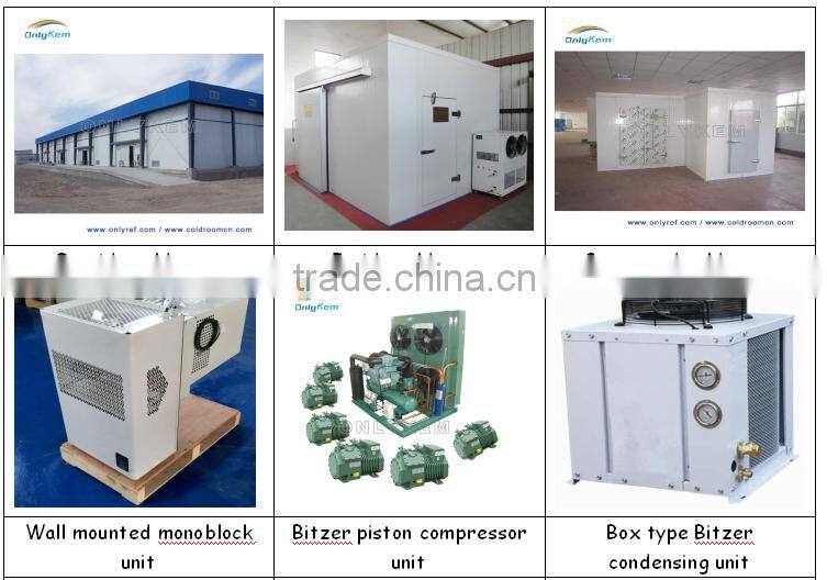 hot sale meat walk in chiller for family