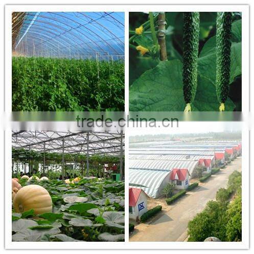Alibaba 2016 China 10kg Potato Paper Bags Factory Price
