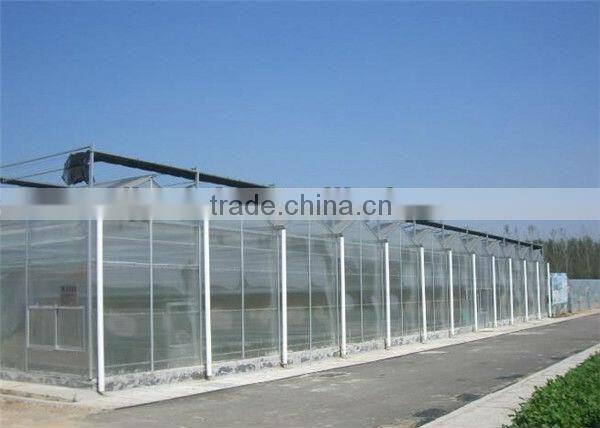 8mm galvanized steel polycarbonate greenhouse