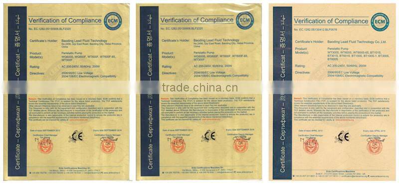 High Quality Peristaltic Dosing Pump