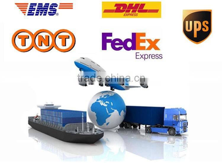 Violin/ Popular Violin/ Student Violin/hot sell violin/ Maple Violin