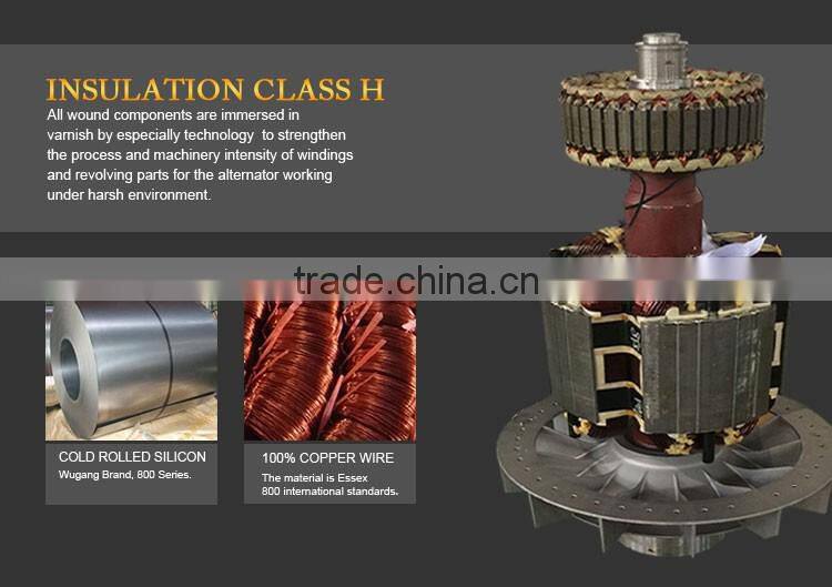 High Quality Low Speed Dynamo Alternator Watt