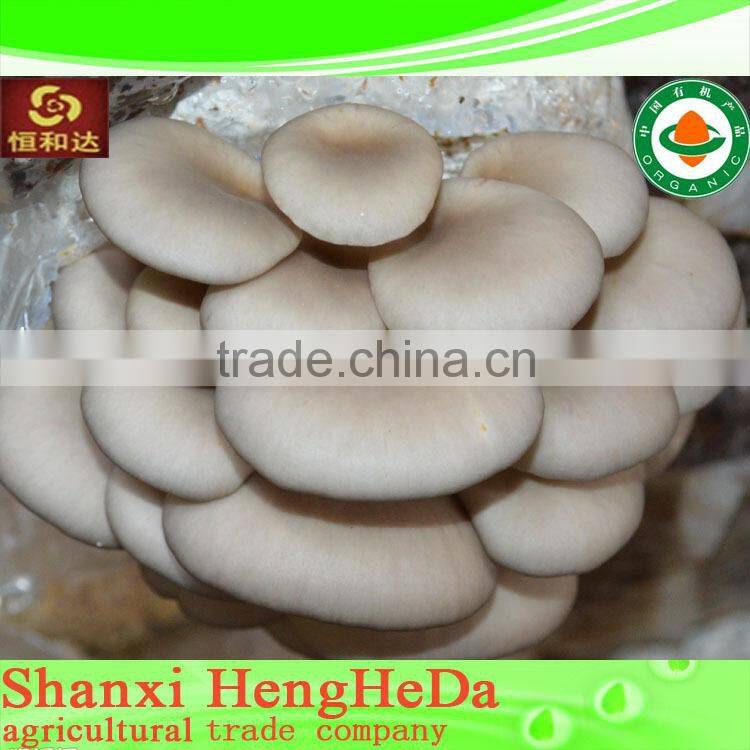 for selling clear to mind dried shiitake mushroom