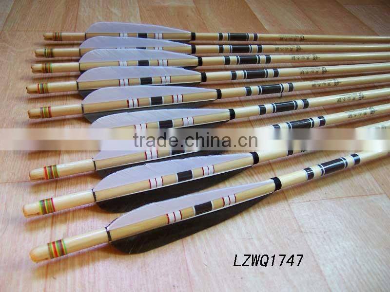 Feather Arrows LZWQ1764
